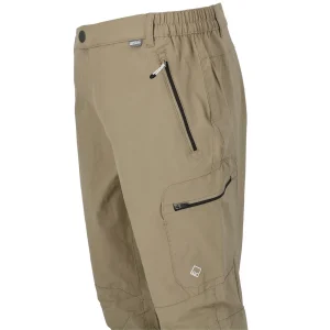 Bon marché 💯 Randonnée Homme Regatta Highton Bge Pant Rando BEIGE 🔥 Livraison gratuite 10